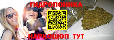 трава Можга