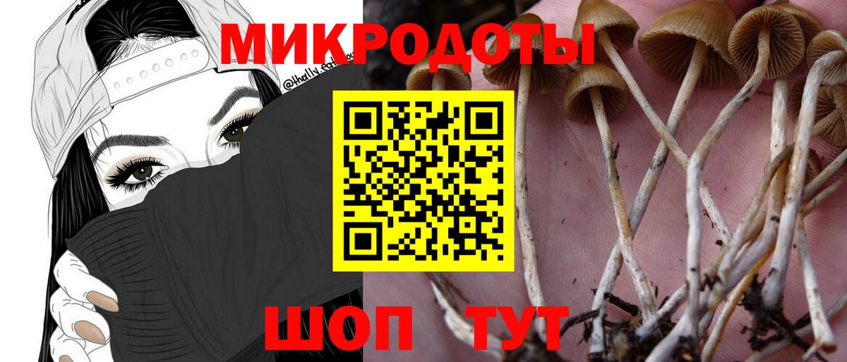 Галлюциногенные грибы мухоморы Тавда